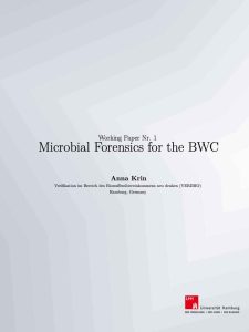 workingpaper title